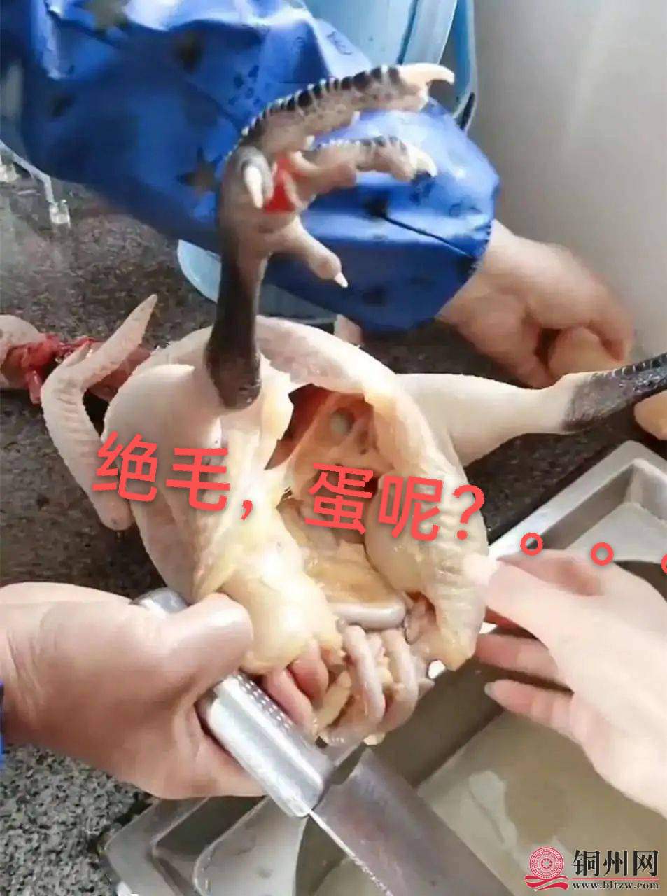 wechat_upload165555055362adb25912d40