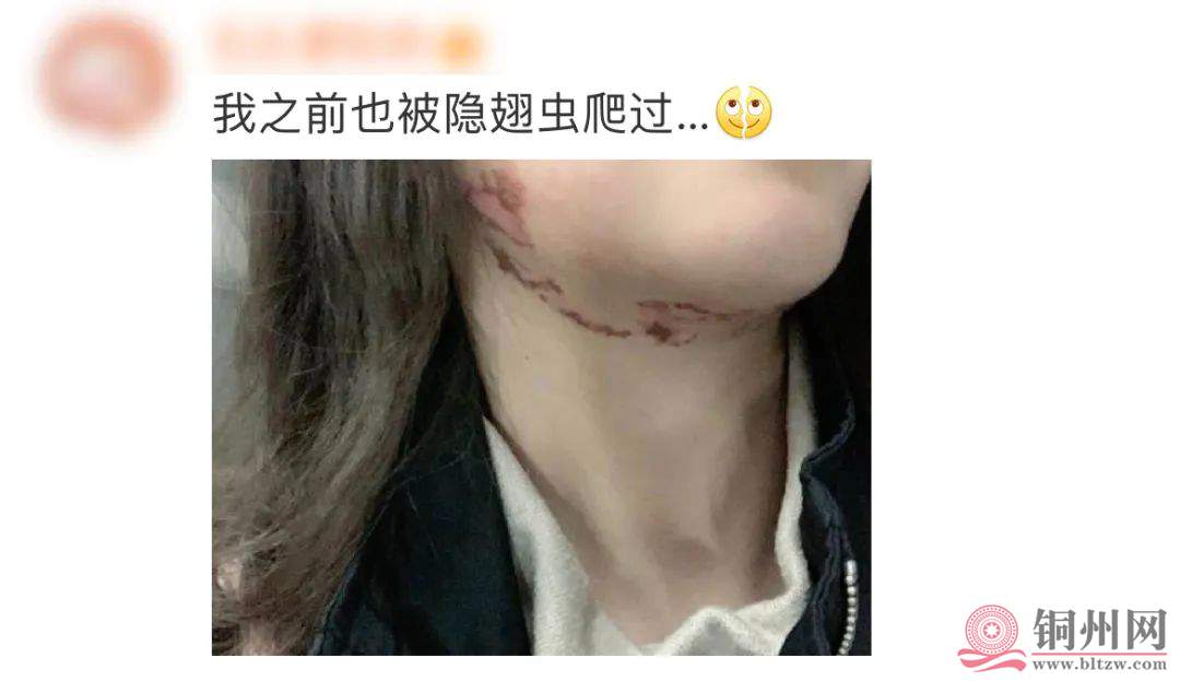 cccaee785c688025b1a28643383223e7.jpg