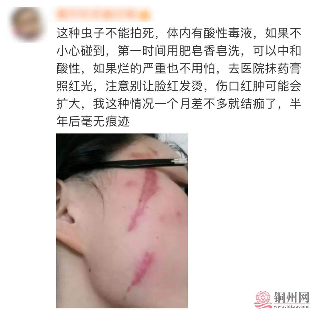 e79fcca7fcf871435c26b37629d8d980.jpg