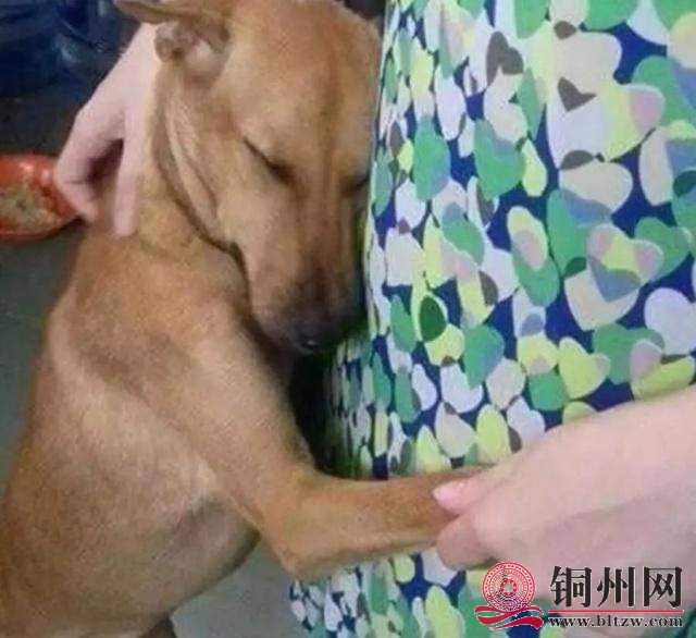 wechat_upload165570123262affef0ed738