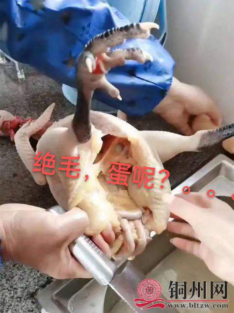 wechat_upload165574126562b09b51d2499