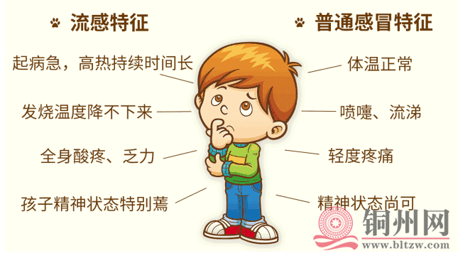 92f36fc851cb47c3a744ecb6b073a10a.png