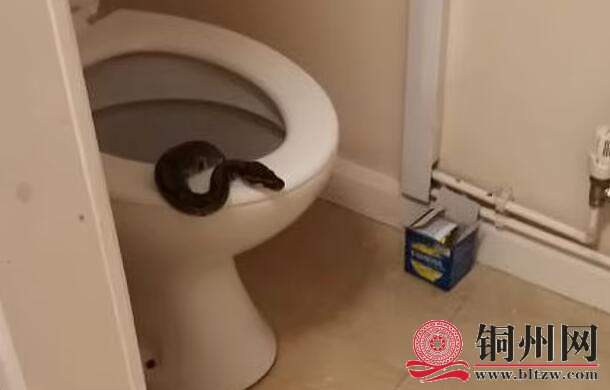 wechat_upload165635525762b9f9b91b9d1