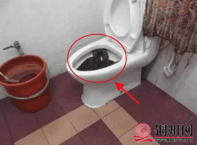 wechat_upload165635525862b9f9bad784b