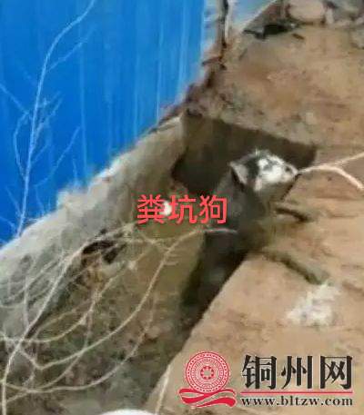 wechat_upload165635696862ba006862ba2