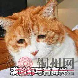 5cffc6040832fa6677cf832b1cc5fd7d.jpg