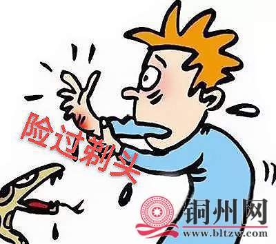 wechat_upload165642132062bafbc8ba7bd