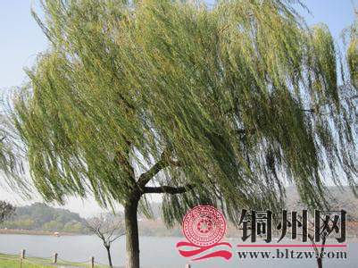 wechat_upload165655678862bd0cf4ee611