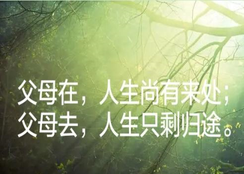 wechat_upload165655678862bd0cf48f33f