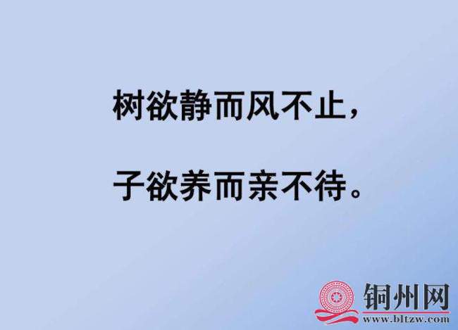 wechat_upload165655701662bd0dd801815