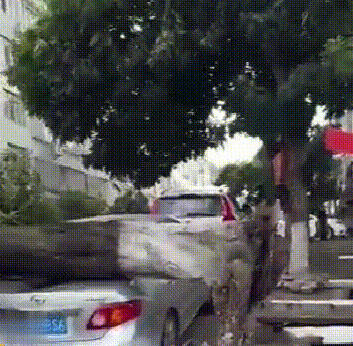 335588b2a0e34572b138b6f777bf739a~tplv-obj_426_480.gif
