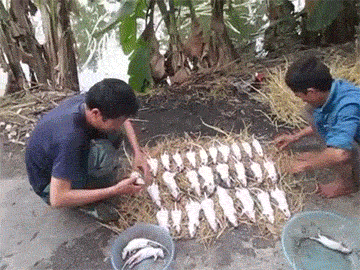 2096726_286a0bf68038ac8d850010990d29833e.gif