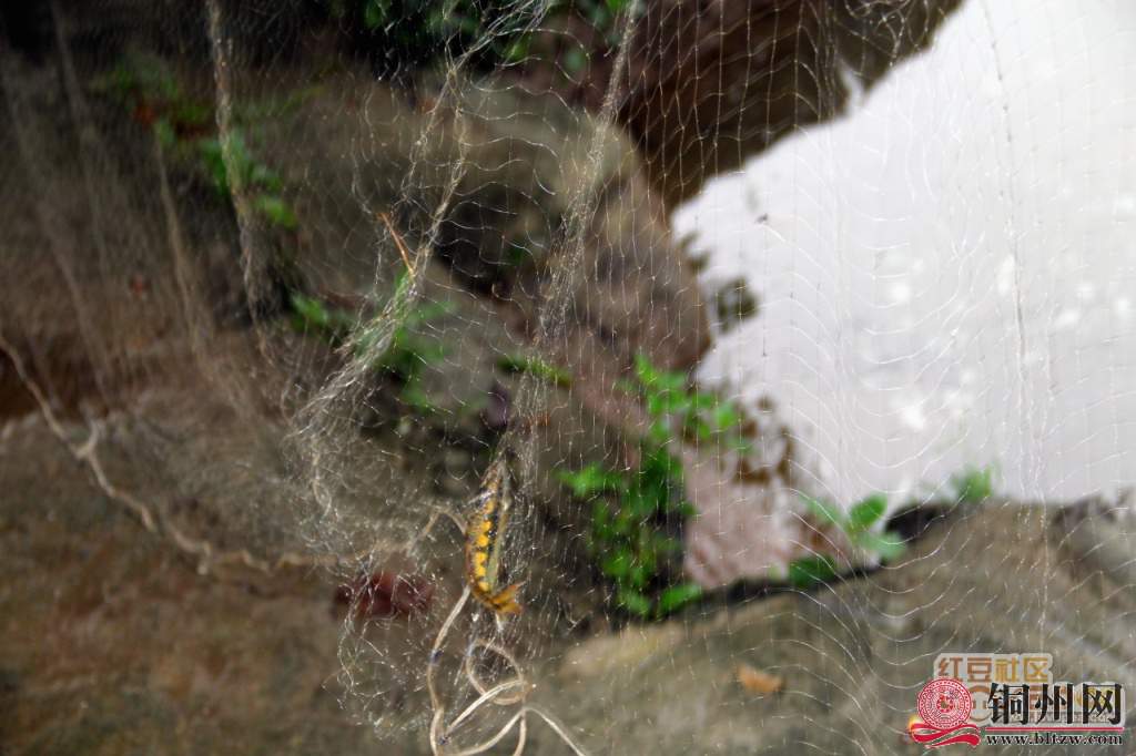 1587313_320e7ca466ce18dcd6f0b812e3d1d7c4.jpg