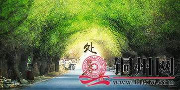 wechat_upload16612496996304a8a37593a