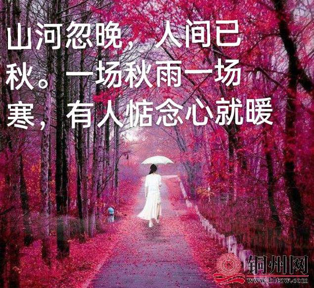 wechat_upload16612497016304a8a5e45b6