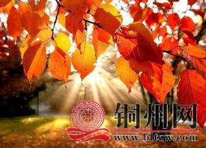 wechat_upload16612497026304a8a6cd57a