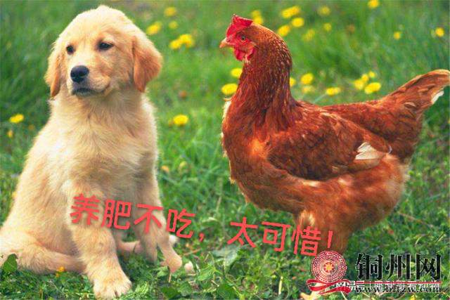 wechat_upload1661506213630892a5baf1f