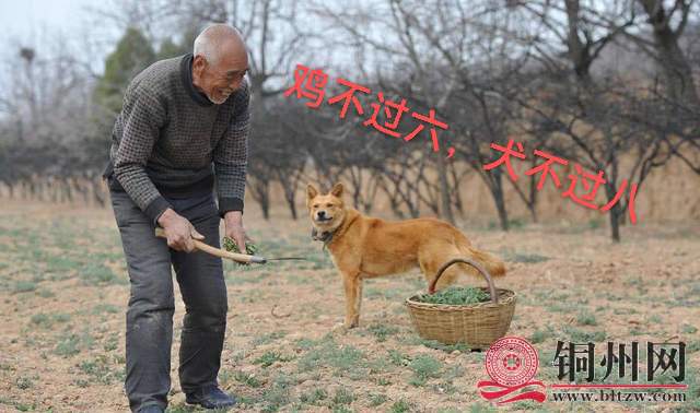 wechat_upload1661506213630892a547325