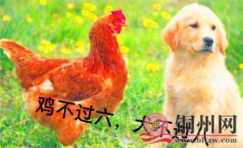 wechat_upload1661506214630892a64646e