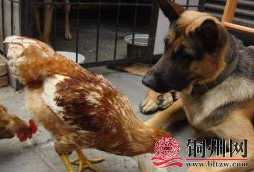 wechat_upload1661506240630892c0a2892