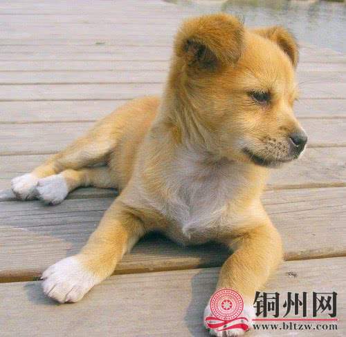 wechat_upload1661506240630892c05939e