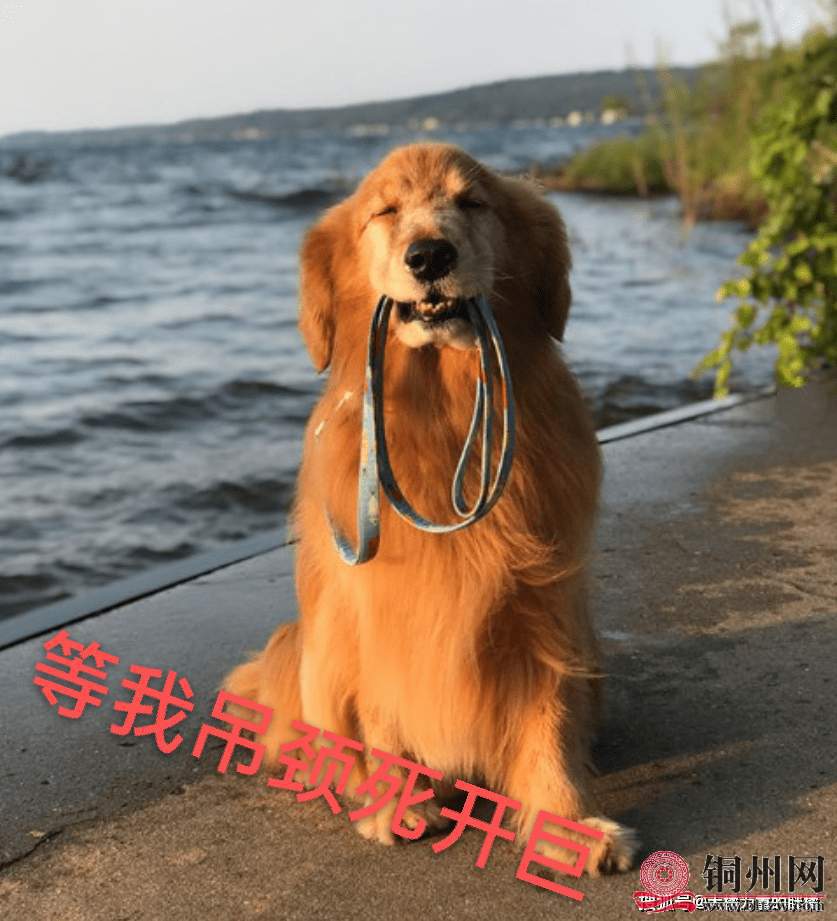 wechat_upload1661506549630893f58e888