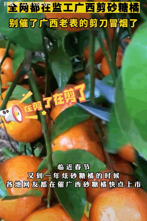 f0333d139cc49da9fac75627424c7c0c.gif