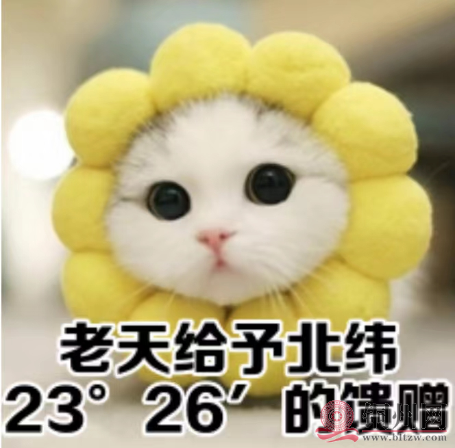 e1175fee38b063c7677580ac46e6631d.png