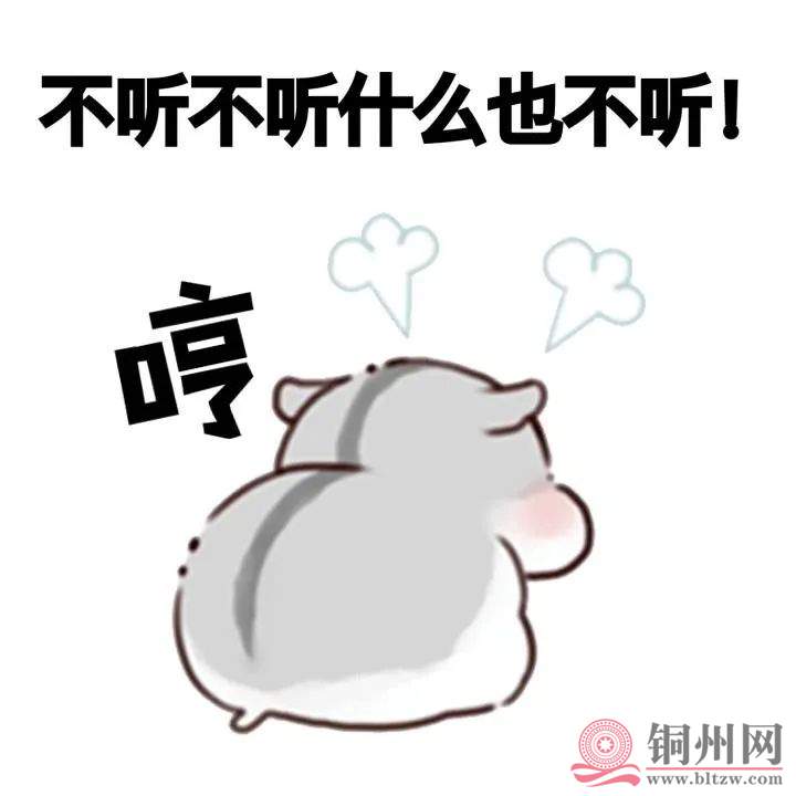 bd7f275a05f086a937b7e3813e4e5fed.jpg