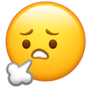 e962720355bba0dbbc7302acb0961c21.png