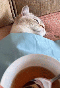 ab575a6332abfa55a63602c21fe2b643.gif