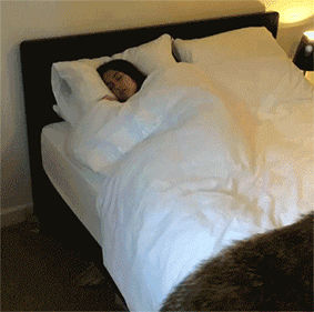 d9b910429f456a67f6d0db7ed5ec6788.gif