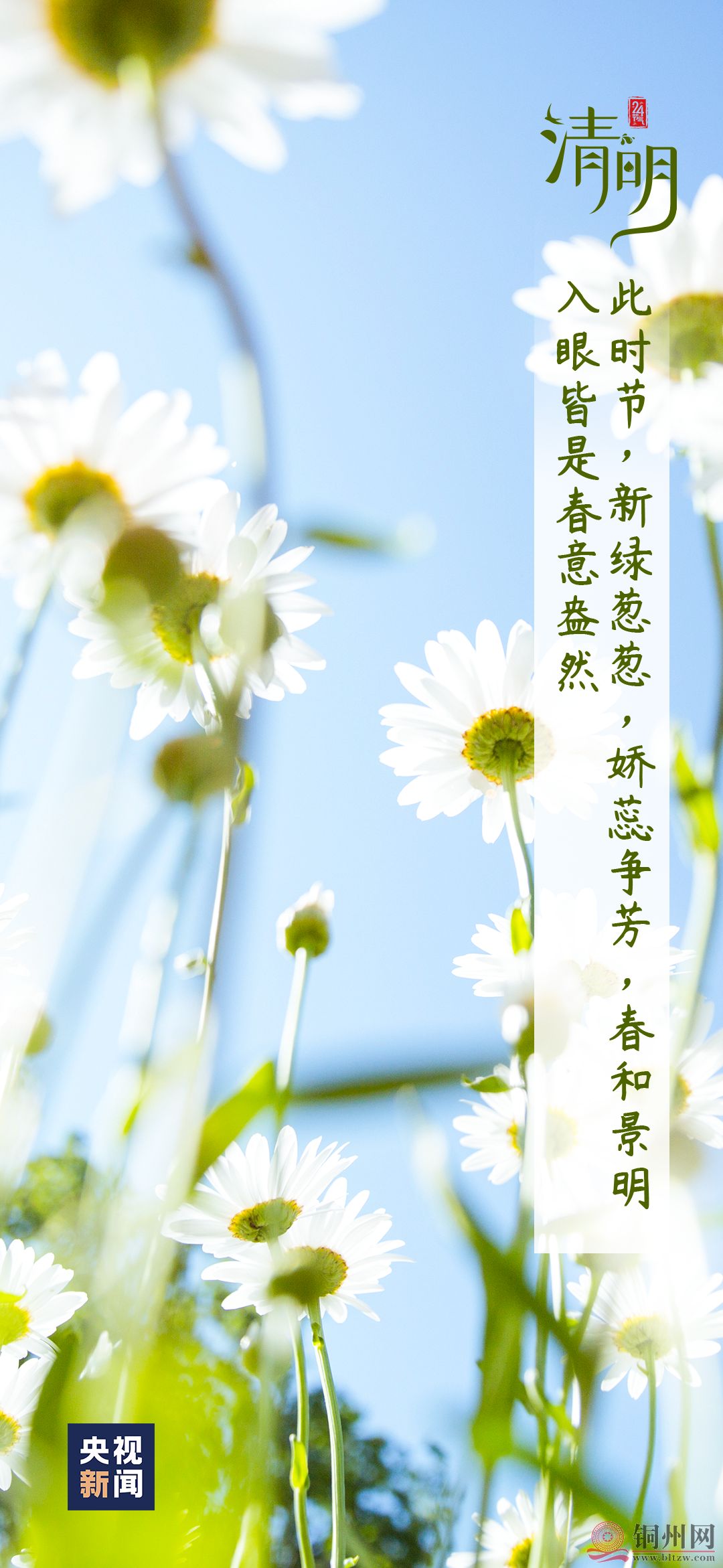 9d82e950a41e0afa74cc8db5a3bd6510.png
