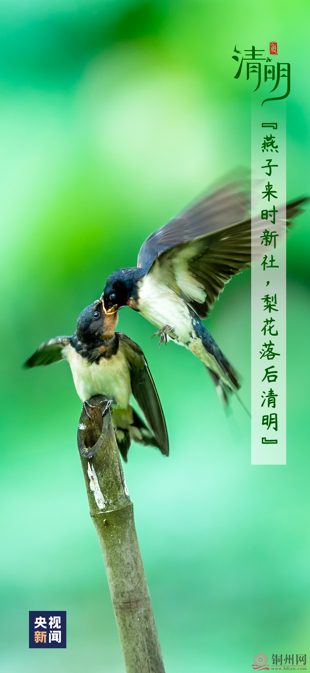 8eb7404931fea29dd3592f34c19c69e4.png