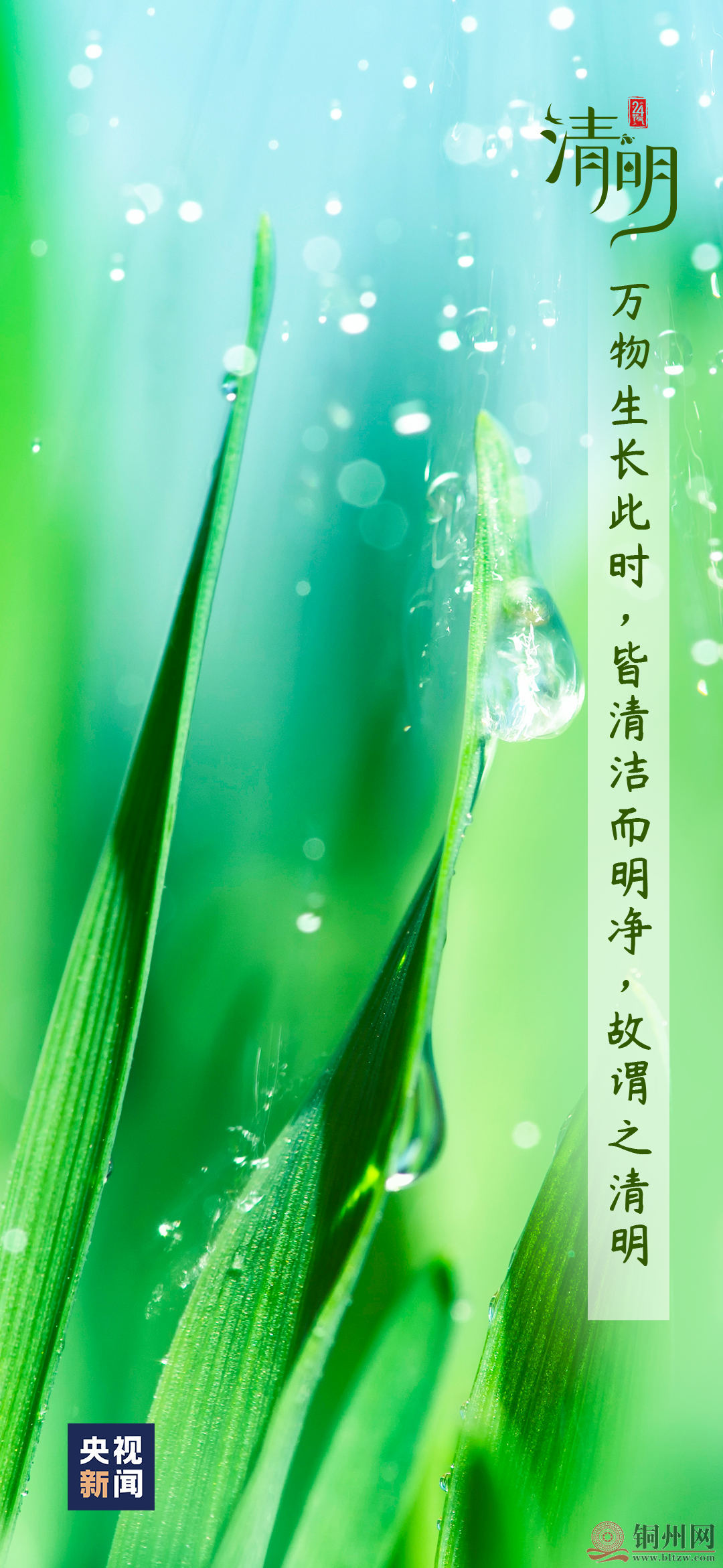 394f45e8a8309591856380545e816194.png