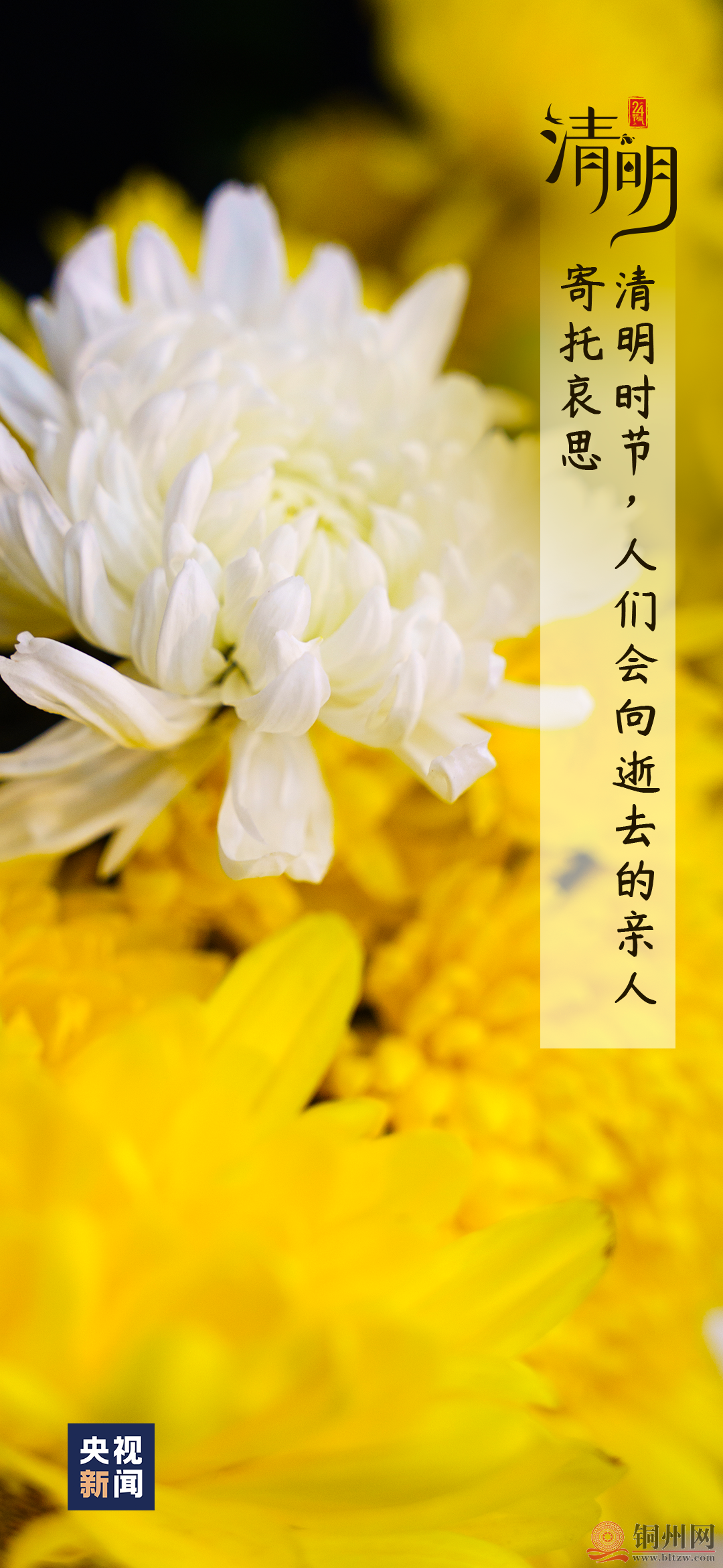 9ab7d64c65642812490f5a2f4589b49d.png