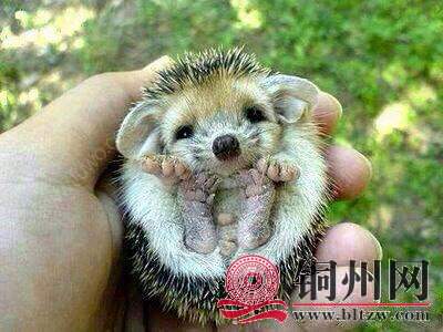 wechat_upload1681800504643e3d38199d1