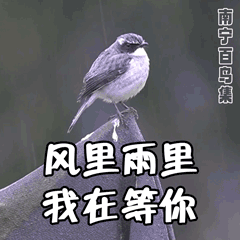 360cccb841ea7ef5725717cdc420aa95.gif