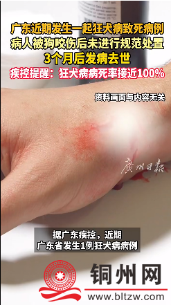 50a070a79b2091e26a334e81b759817a.png