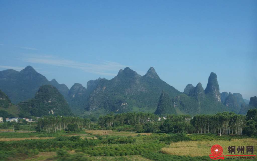 545425_55ab328083f5cd03590e7d1ad5973bb1.jpg