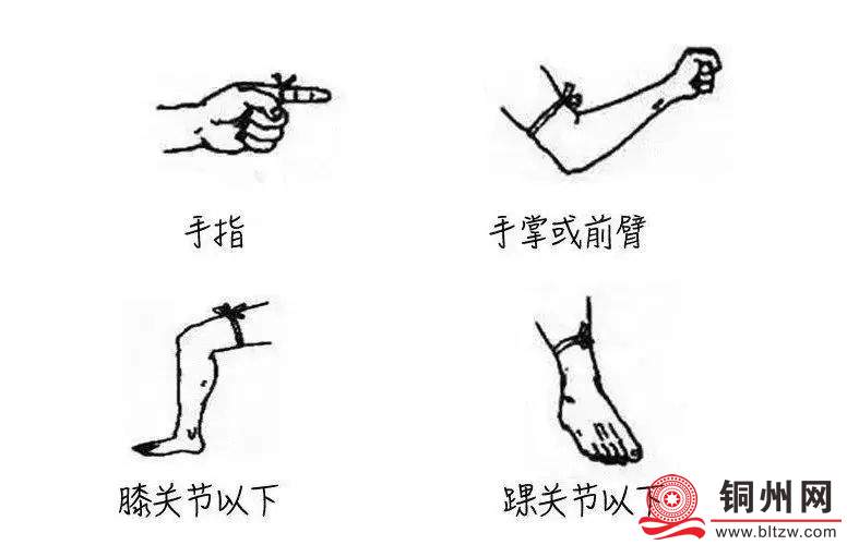 06a5330eebe4e49dedb477623b0250d0.jpg