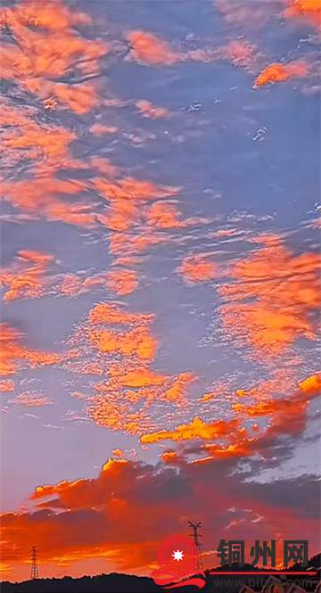 4116199_6b463930858e4df610b5f94248b4dd2f.jpg