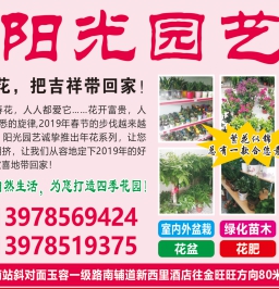 2019第6期北流DM广告报总736期；凯旋金街、桃李春风楼盘安恩宝月子中心、