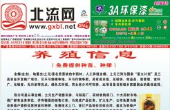 2012第012期北流网DM广告，总第122期