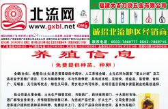 2012第010期北流网DM广告，总第120期