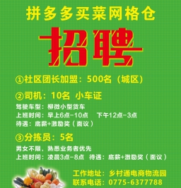 DM广告报总816期看点：拼多多买菜网格仓招聘、挑李春风素颜样板开放-鉴证全景视野！