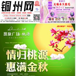 2016第070期北流网DM广告，总第508期